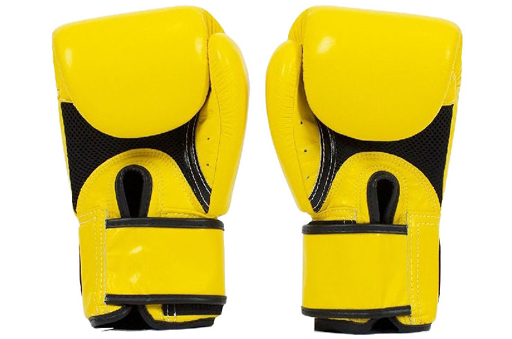 Thai Boxing Gloves, Training - Leather FXV1/16, Fairtex