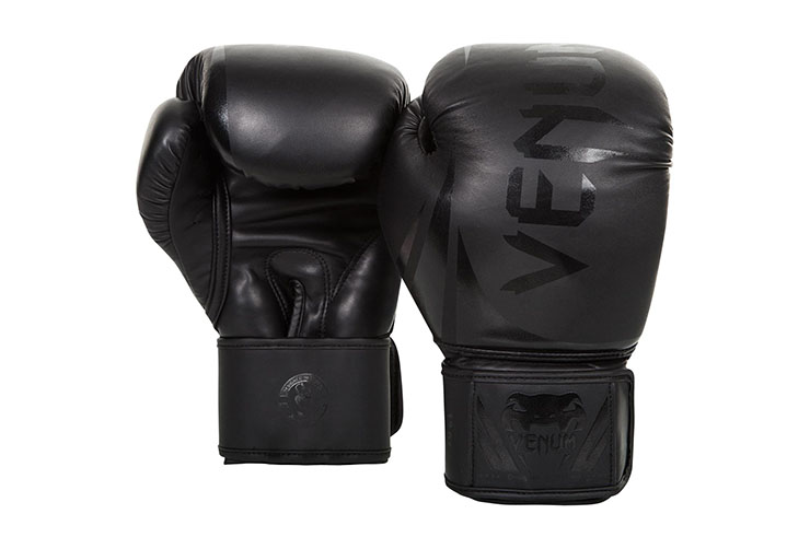 Boxing Gloves - Challenger 2.0, Venum