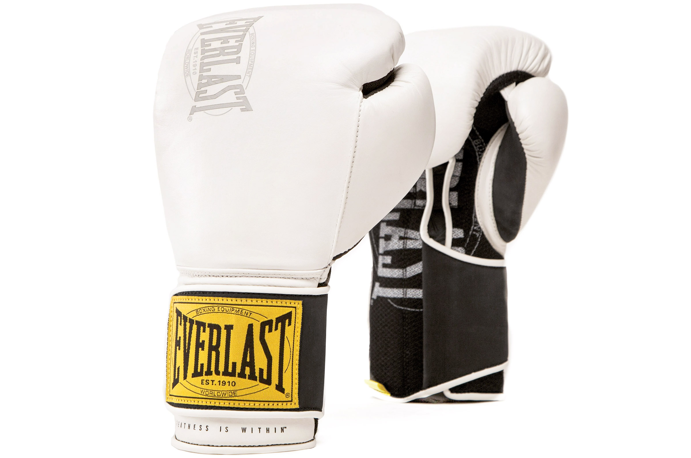 Gants de boxe Everlast, gants class training, Everlast 1910