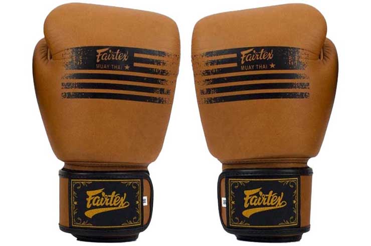 Boxing gloves, Legacy - Fairtex