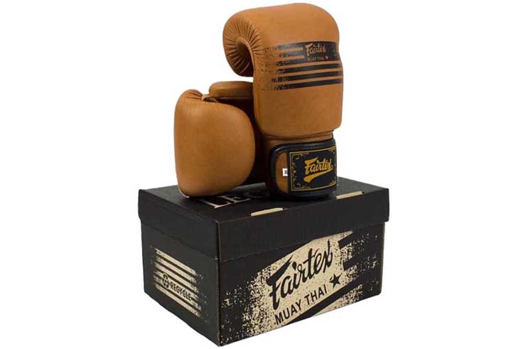 Boxing gloves, Legacy - Fairtex