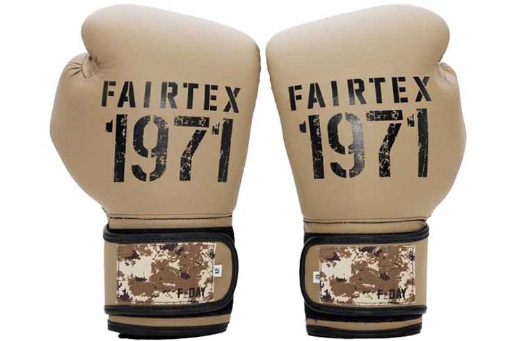 Boxing gloves, F-Day 2 - Fairtex