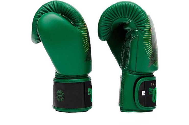 Boxing gloves, Resurrection - Fairtex