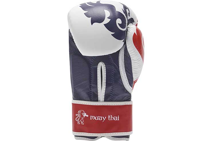 Boxing Gloves - Thaï Style, Leone