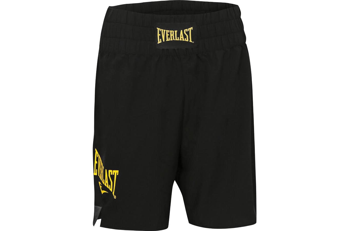 Everlast Pro Boxing Shorts – The Fight Factory