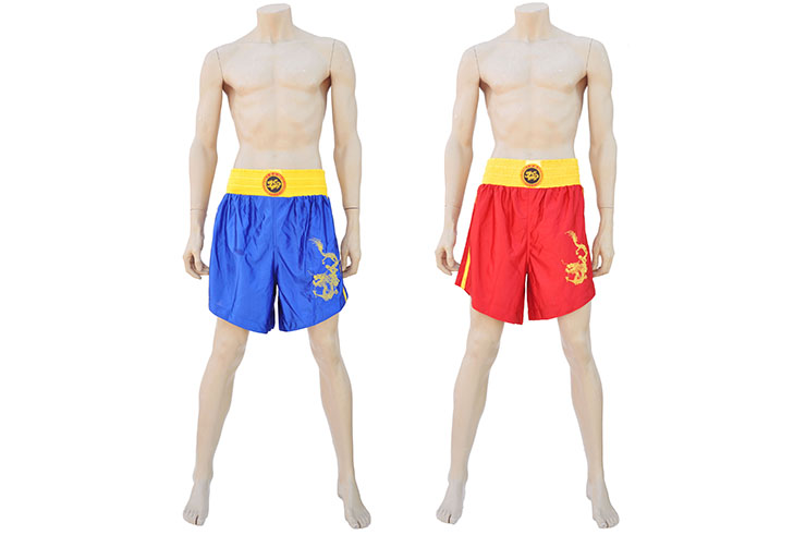 Chinese Sanda Boxing Uniform - Dragon, Hua Xin