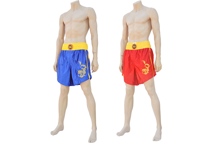 Chinese Sanda Boxing Uniform - Dragon, Hua Xin