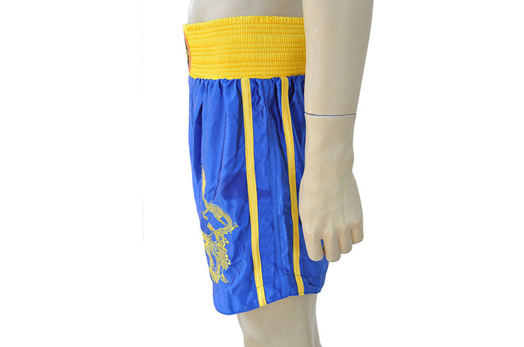 Chinese Sanda Boxing Uniform - Dragon, Hua Xin