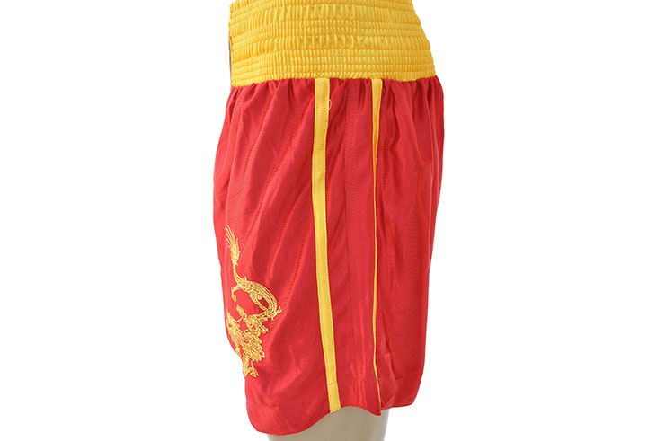 Chinese Sanda Boxing Uniform - Dragon, Hua Xin