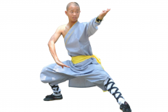 Tenue Shaolin traditionnelle, Dan Jian Seng